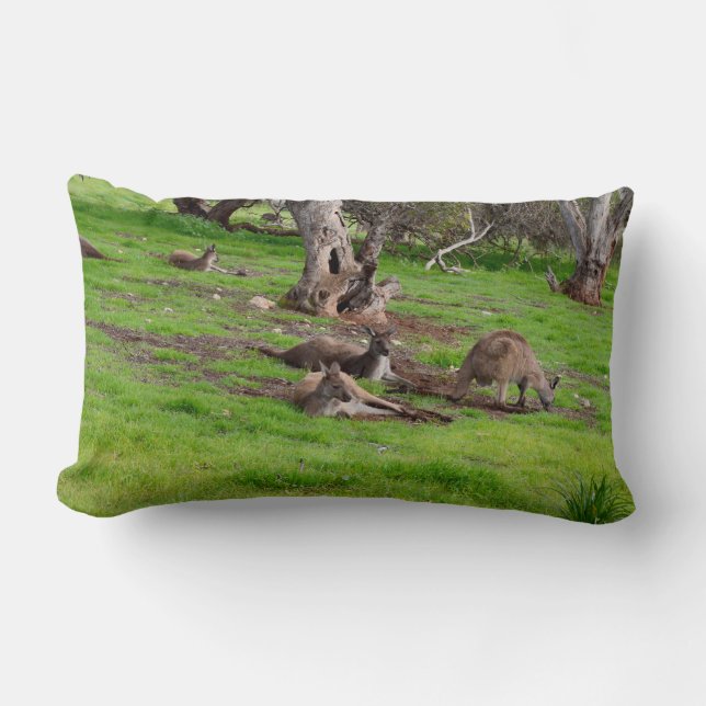 Kangaroo Siesta, Lumbar Cushion. Kussen (Voorkant)