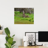 Kangaroo Siesta, Poster (Thuiskantoor)