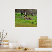 Kangaroo Siesta, Poster (Keuken)