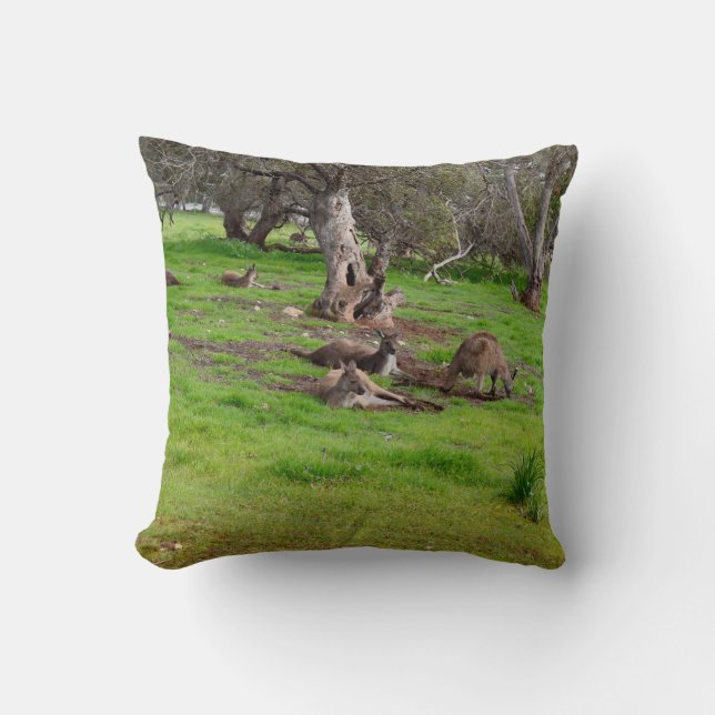 Kangaroo Siesta, Throw Cushion. Kussen (Voorkant)