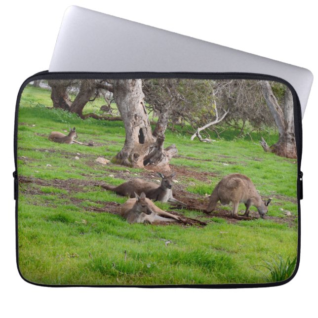 Kangaroo Siesta Time Laptop Sleeve (Voorkant)