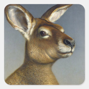 Kangaroo Square Sticker