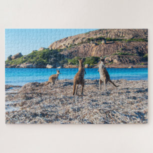 Kangaroo standoff op het strand, 1014 stukken legpuzzel