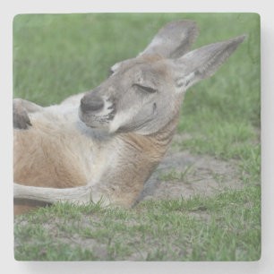 Kangaroo Stenen Onderzetter