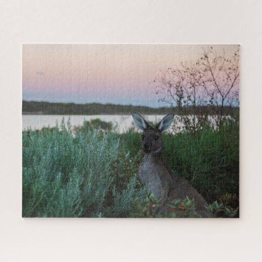 Kangaroo Sunset bij het Australië-meer, 520 stuks Legpuzzel (Horizontaal)