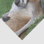 Kangaroo Tissuepapier (Detail)