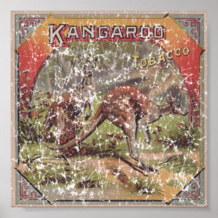 Kangaroo Tobacco 1900 in nood Poster