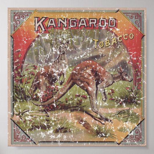 Kangaroo Tobacco 1900 in nood Poster (Voorkant)