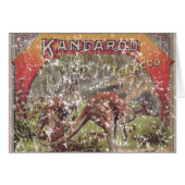 Kangaroo Tobacco 1900 - noodlijdend (Voorkant Horizontaal)