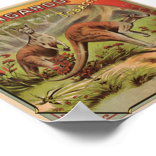 Kangaroo Tobacco 1900 Poster (Hoek)