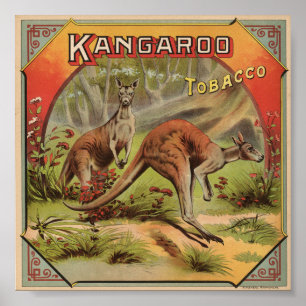 Kangaroo Tobacco 1900 Poster