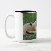 Kangaroo Tweekleurige Koffiemok (Links)