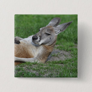 Kangaroo Vierkante Button 5,1 Cm