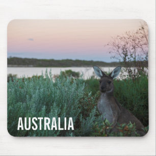 Kangaroo Wildlife Sunset Lake Australia Muismat