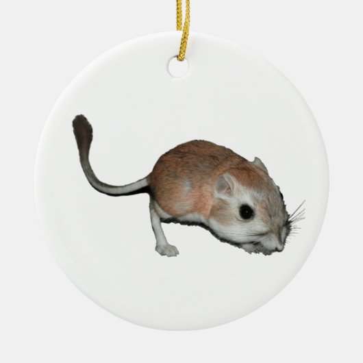 Kangaroorrat Keramisch Ornament (Voorkant)