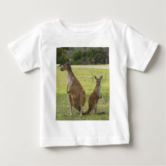 Kangaroos