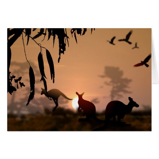 Kangaroos (Voorkant Horizontaal)