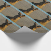 Kangaroos Cadeaupapier (Hoek)