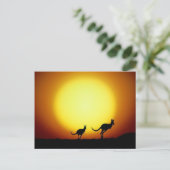Kangaroos in de Australische Outback Briefkaart (Staand voorkant)