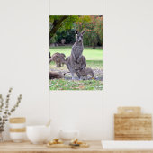 Kangaroos mummy poster (Keuken)
