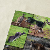 Kangaroos Photo Collage, Beach Towel Strandlaken (In situ)