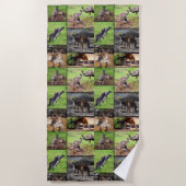 Kangaroos Photo Collage, Beach Towel Strandlaken (Voorkant)