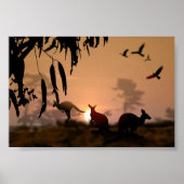 Kangaroos Poster (Voorkant)