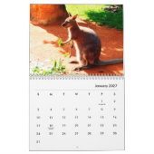 Kangaroos Wall Calendar Kalender (Jan 2027)