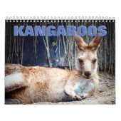 Kangaroos Wall Calendar Kalender (Hoes)