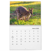 Kangaroos Wall Calendar Kalender (Mar 2026)
