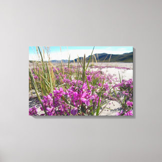 Kangerlussuaq Groenland Canvas Afdruk