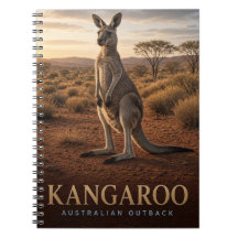 Kangoeroe Australisch Outback Wildlife DIER