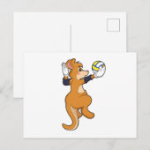 Kangoeroe bij volleybalsport briefkaart (Voorkant / Achterkant)