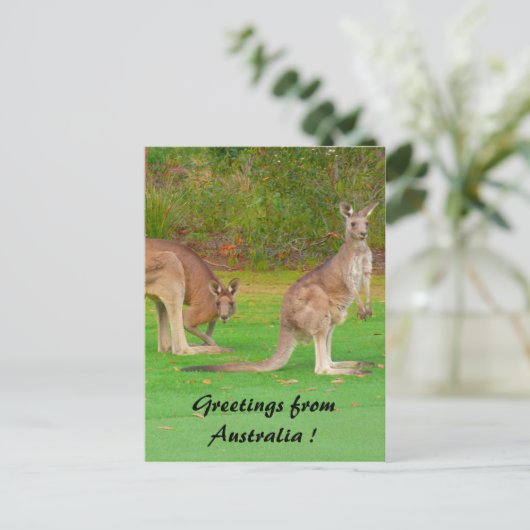 kangoeroe briefkaart (Staand voorkant)