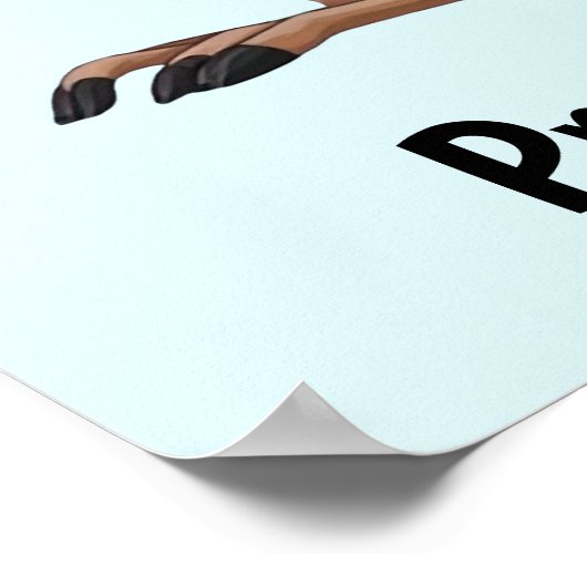 Kangoeroe en Koala Poster (Hoek)