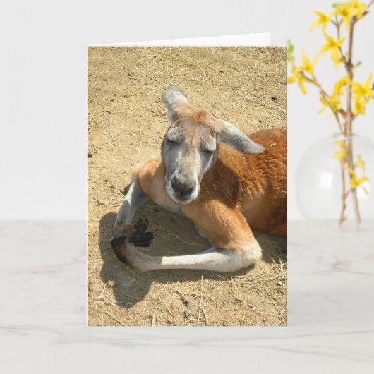 kangoeroe het bidden kaart (Gele Bloem)