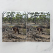 Kangoeroe in de Billabong, Jumbo Verjaardag Kaart, Kaart (Binnen)