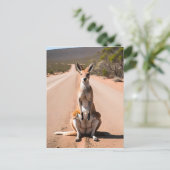 Kangoeroe in de Outback Briefkaart (Staand voorkant)