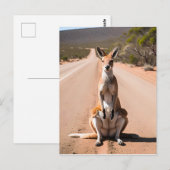 Kangoeroe in de Outback Briefkaart (Voorkant / Achterkant)