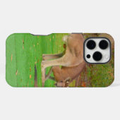 kangoeroe iPhone hoesje (Achterkant horizontaal)
