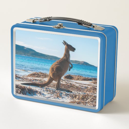 Kangoeroe op het strand Lucky Bay Australië (Voorkant)