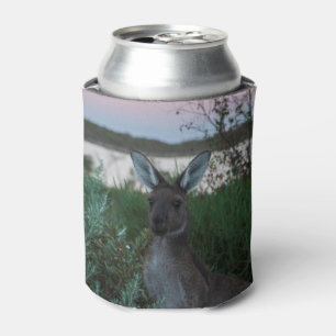 Kangoeroe Sunset Coffin Bay National Park Australi Blikjeskoeler