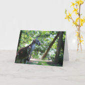 Kangoeroe-Wenskaart Kaart (Gele Bloem)