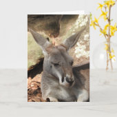 Kangoeroe-Wenskaart Kaart (Gele Bloem)