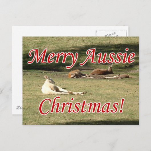 Kangoeroes Briefkaart (Voorkant / Achterkant)