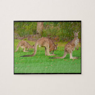 kangoeroes legpuzzel