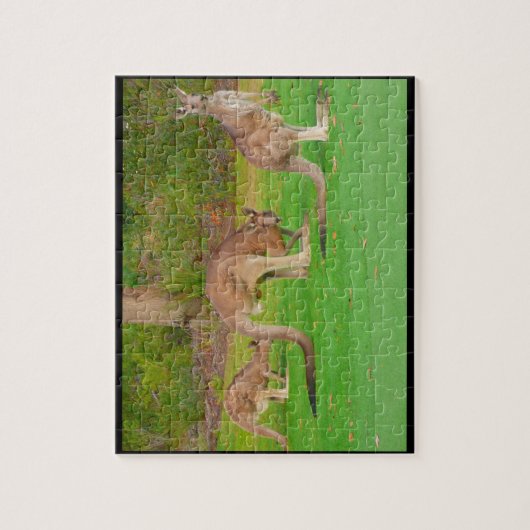 kangoeroes legpuzzel (Verticaal)