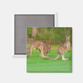 kangoeroes magneet (Voorkant / Achterkant)