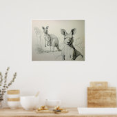 Kangoeroes Tekening - Kunstdruk Poster (Keuken)