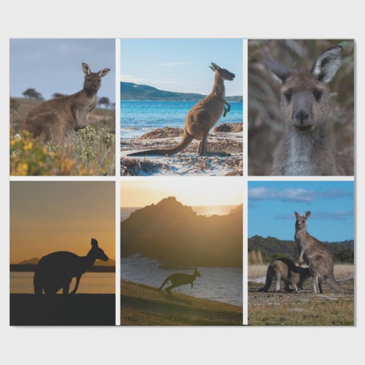 Kangoeroes van Australië Cadeaupapier (Vlak)